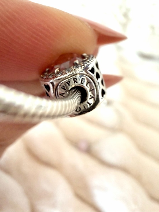 RARE❗️ Retired PANDORA ESSENCE Set of 2 Bracelets & 4 Charms - Picture 16 of 17